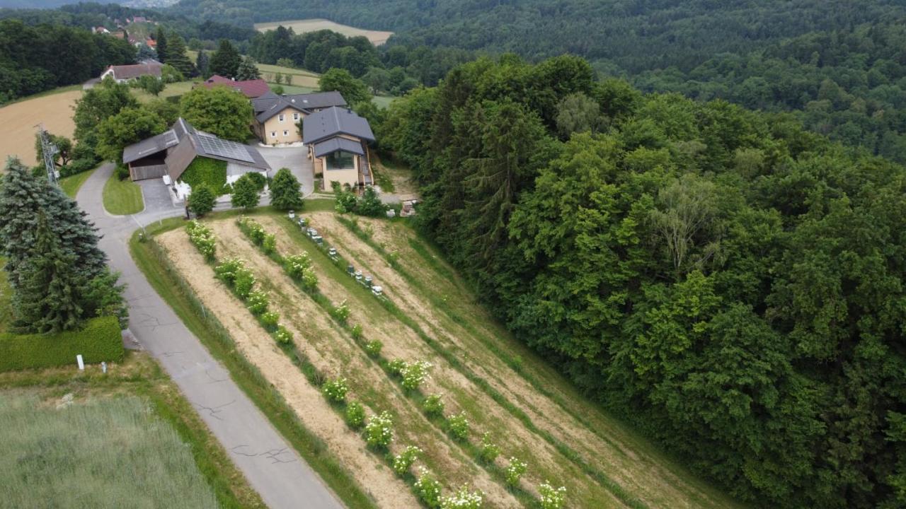 Apartmán Beim Bergjosl Kirchbach in Steiermark Exteriér fotografie