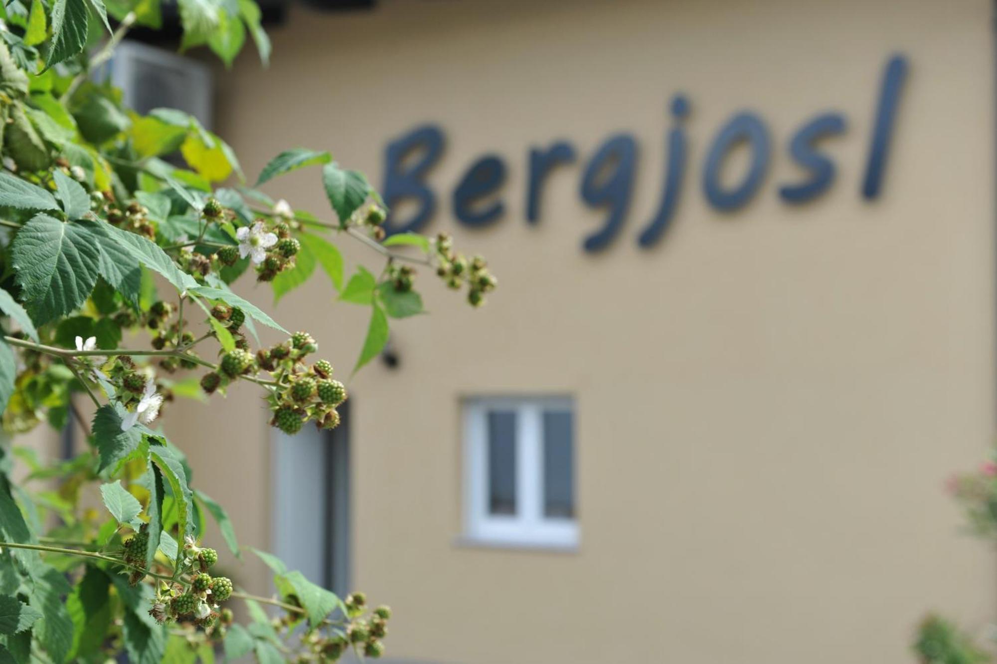 Apartmán Beim Bergjosl Kirchbach in Steiermark Exteriér fotografie